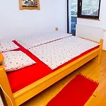 Tourist Farm Pri Martinovih בית חווה