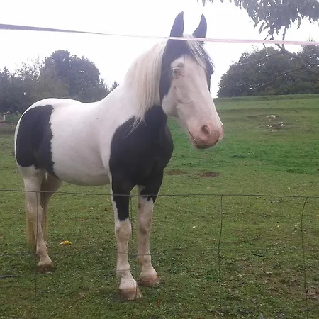 בית חווה Tourist Farm Pri Martinovih