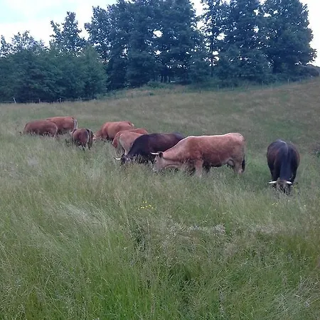 Tourist Farm Pri Martinovih בית חווה *
