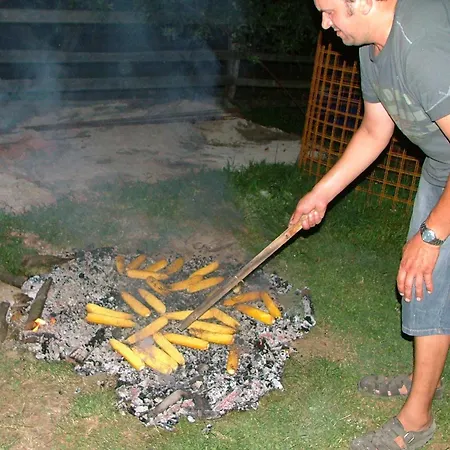 Farm stay Tourist Farm Pri Martinovih Krska Vas