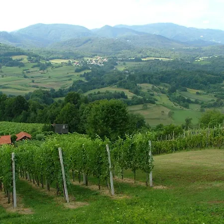 Tourist Farm Pri Martinovih * Krska Vas