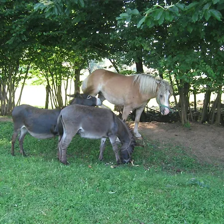 Tourist Farm Pri Martinovih * Krska Vas