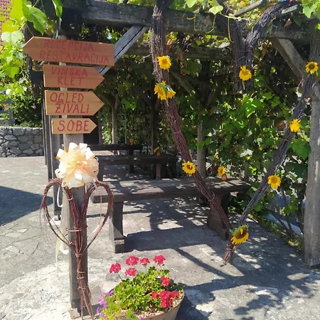 Feriegård Tourist Farm Pri Martinovih