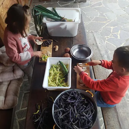 Gospodarstwo agroturystyczne Tourist Farm Pri Martinovih *
