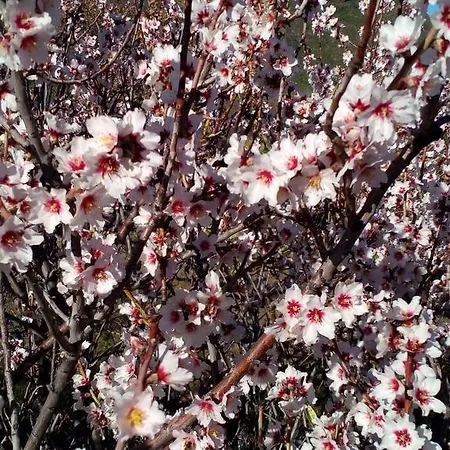 בית חווה Tourist Farm Pri Martinovih