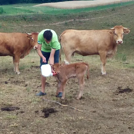 Tourist Farm Pri Martinovih *