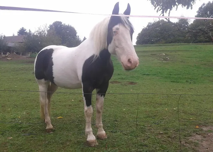 ファームステイ Tourist Farm Pri Martinovih