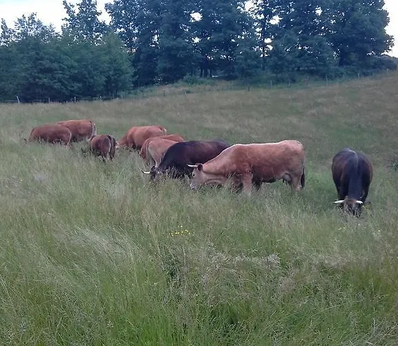 Tourist Farm Pri Martinovih Alojamento de Turismo Rural *