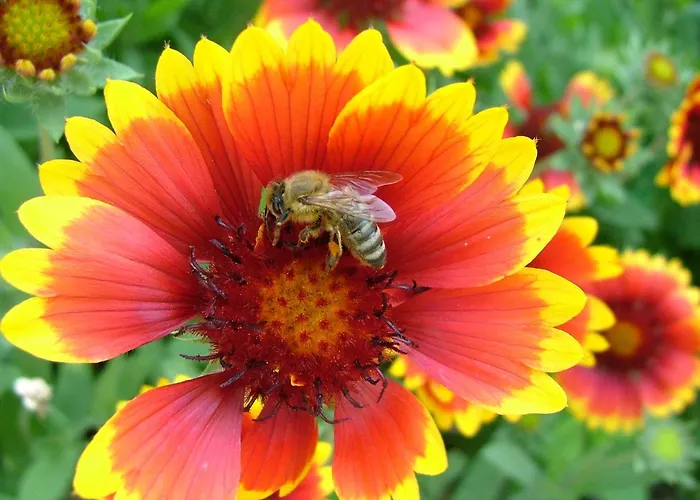 Alojamento de Turismo Rural Tourist Farm Pri Martinovih