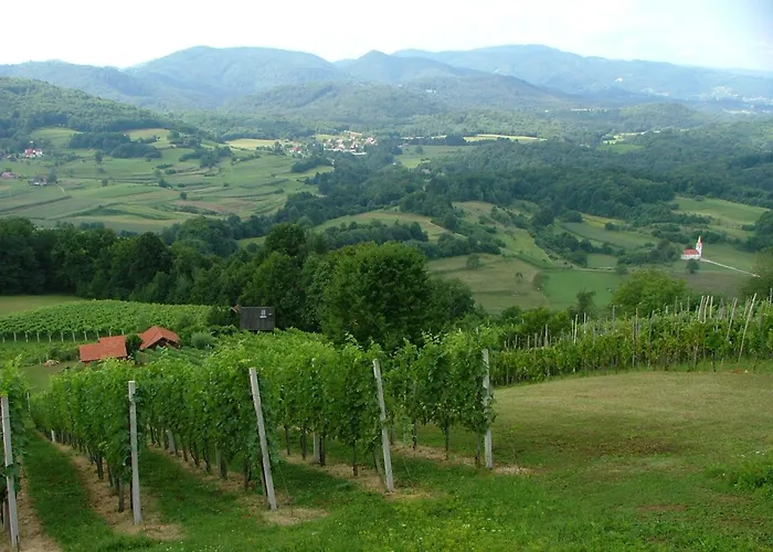 Tourist Farm Pri Martinovih * Krška Vas