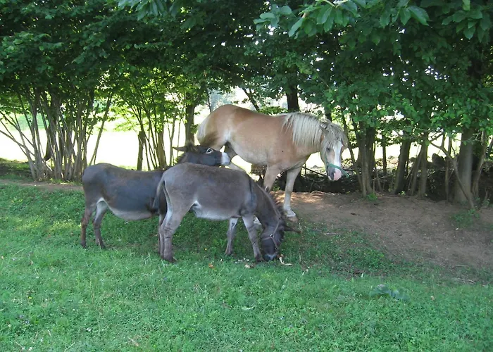 Tourist Farm Pri Martinovih * Krška Vas