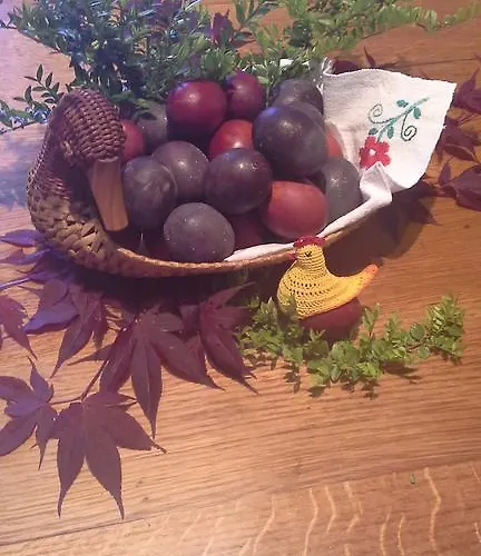 Tourist Farm Pri Martinovih *