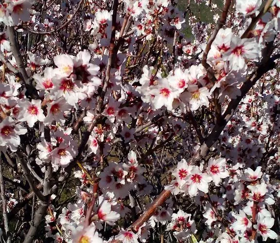 ファームステイ Tourist Farm Pri Martinovih