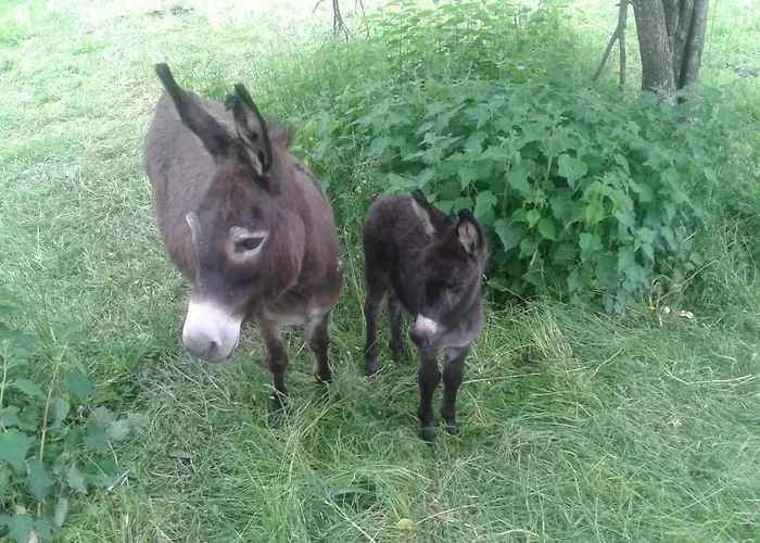 Alojamento de Turismo Rural Tourist Farm Pri Martinovih *