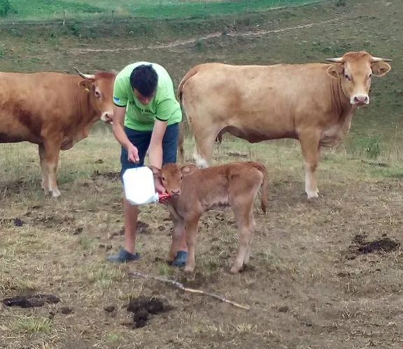 Tourist Farm Pri Martinovih *